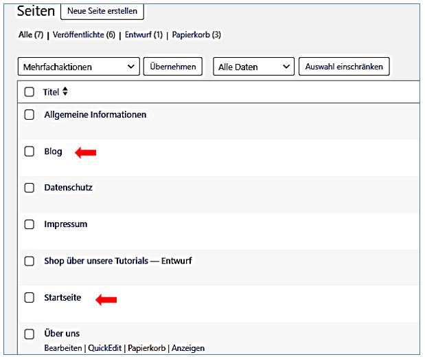 Start und Blogseite 06